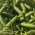 热卖云南青豌豆粒大饱满青蚕豆两个米三个米代发全国