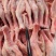 工厂直发大鹅掌，中鹅爪，小鹅脚，颜色新鲜，大小均匀