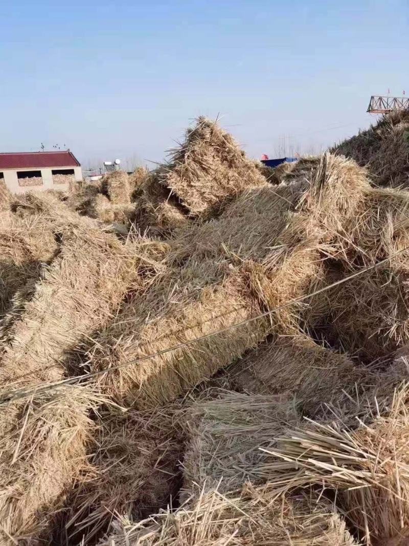 网袋稻草大方包稻草小方包稻草柔丝稻壳克拉斯粉碎稻草