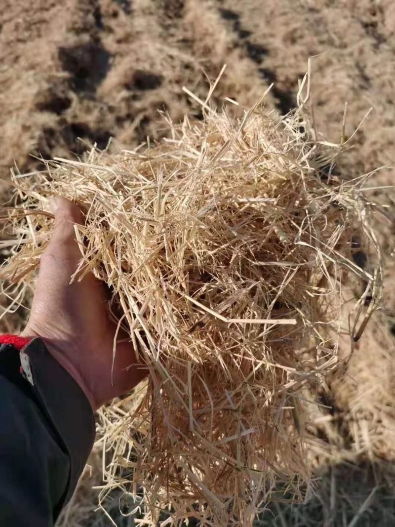 大方包柔丝稻草小包柔丝稻草克拉斯粉碎稻草牛羊饲料