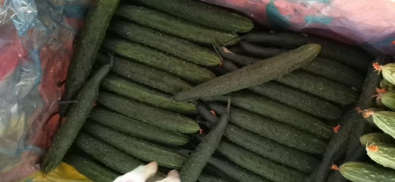 产地直销，大量供应，保证质量，合作共赢，欢迎老板前来采购