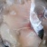 免浆巴沙鱼片巴沙鱼片酸菜鱼