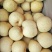 【砀山酥梨】口感翠甜多汁诚信合作量大优惠保证质量代发全国