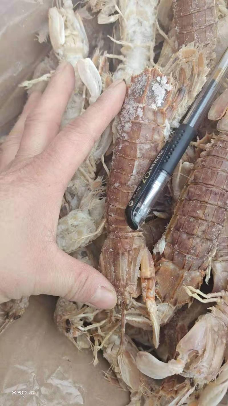 琵琶虾爬虾，熟冻的，个大肉厚新鲜一手货源大量现货供应