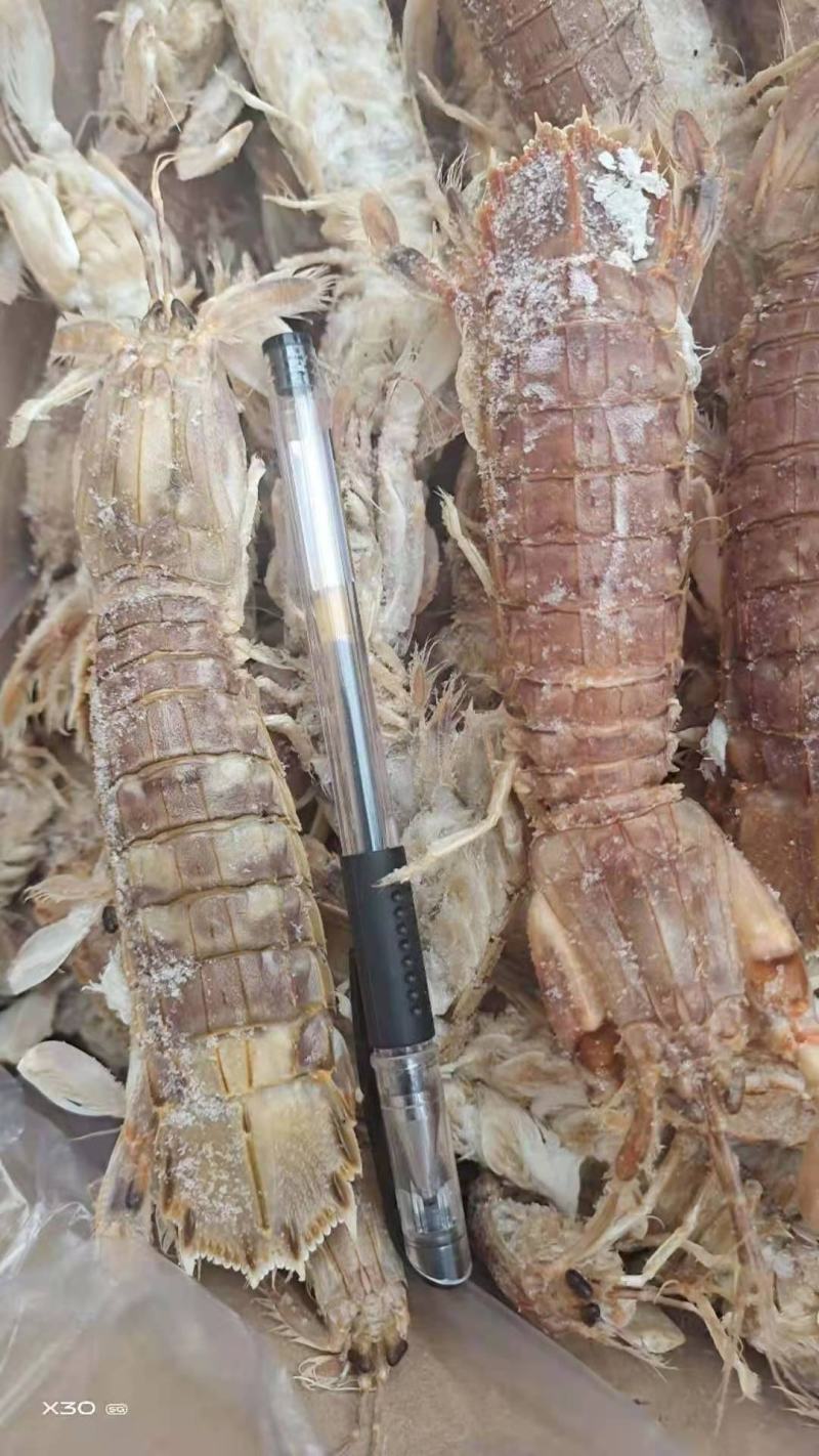 琵琶虾爬虾，熟冻的，个大肉厚新鲜一手货源大量现货供应