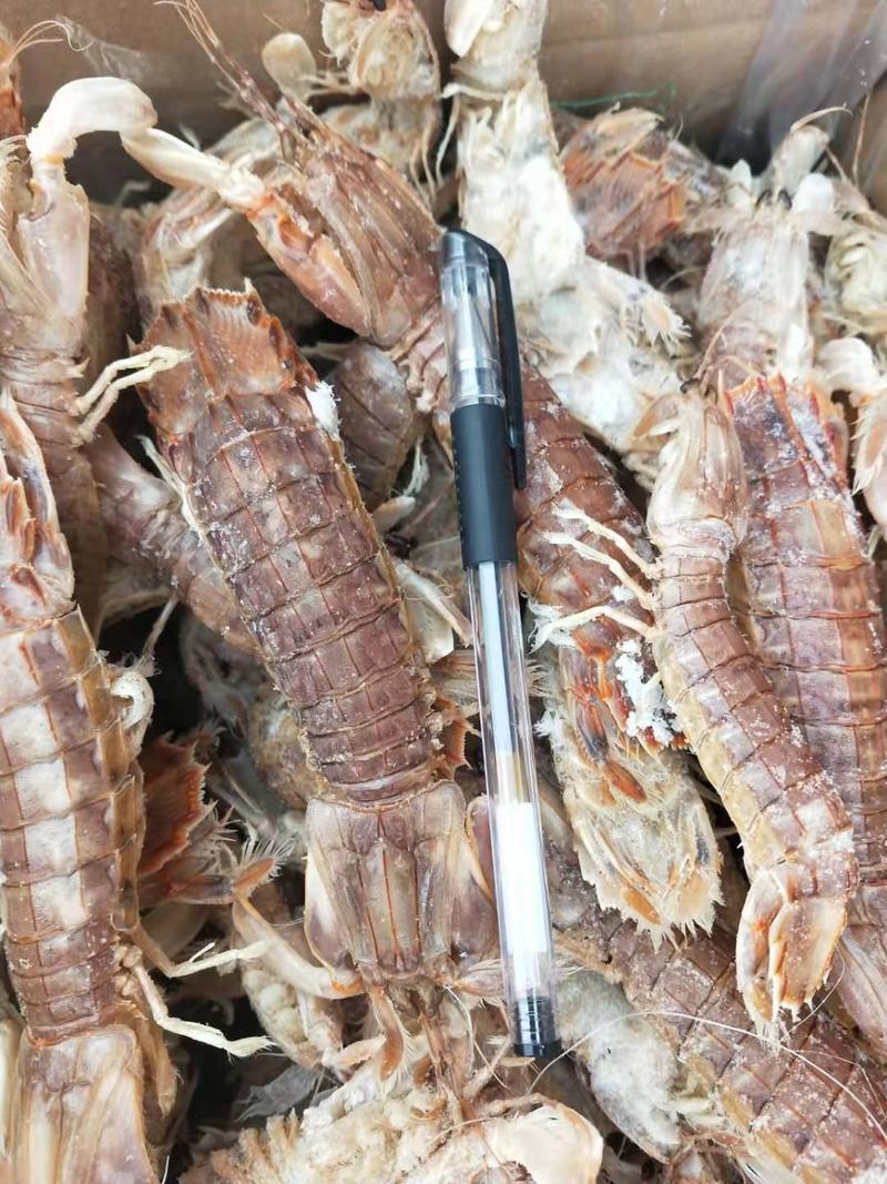 琵琶虾爬虾，熟冻的，个大肉厚新鲜一手货源大量现货供应