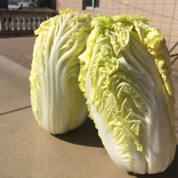 娃娃菜，一件代发，社区团购，质量保证