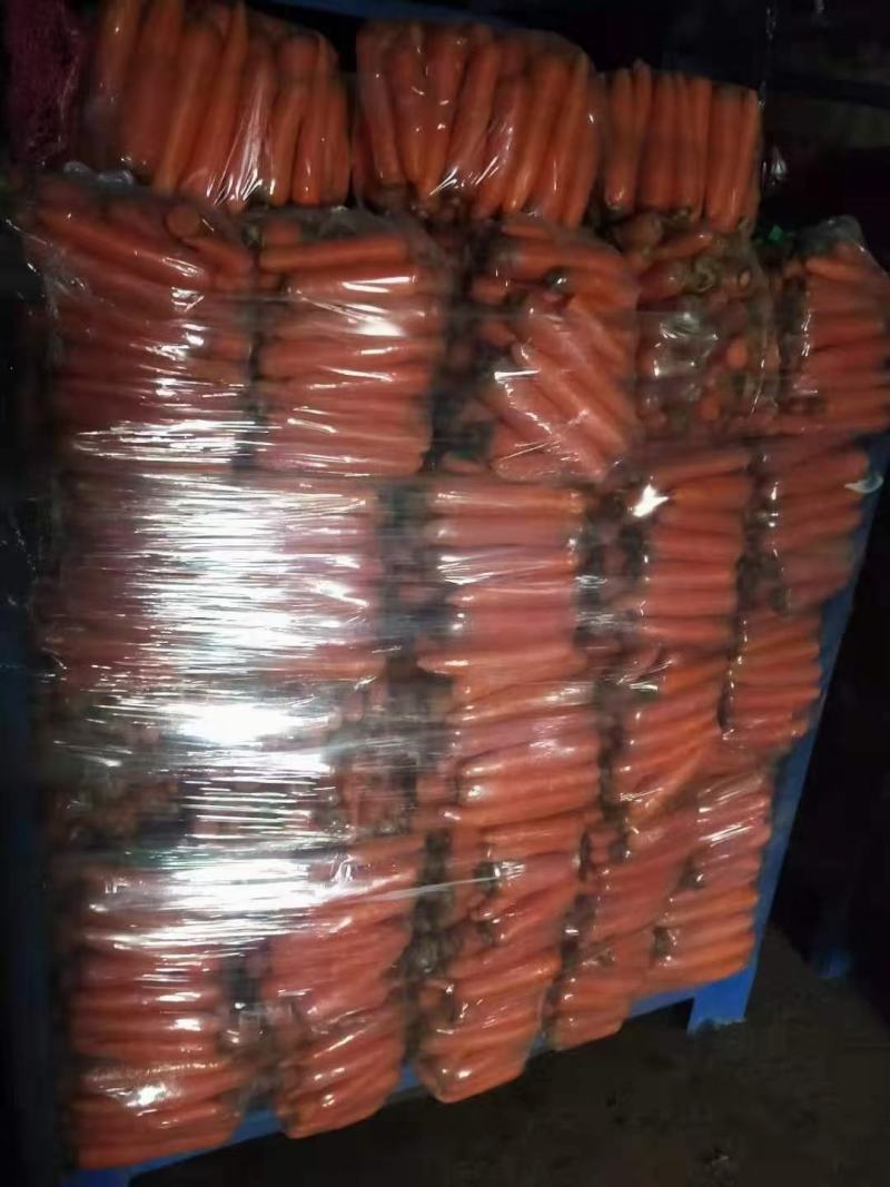 三红胡萝卜，10吨起批，量小勿扰，三红胡萝卜
