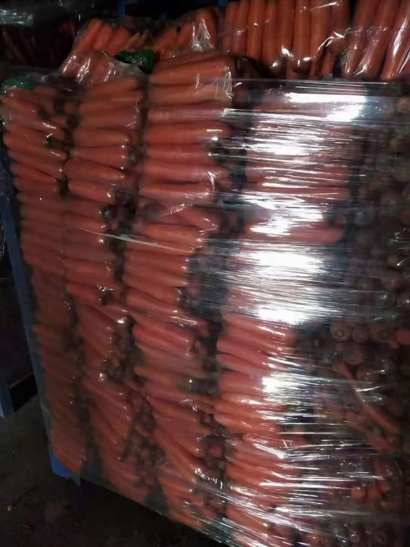 三红胡萝卜，10吨起批，量小勿扰，三红胡萝卜