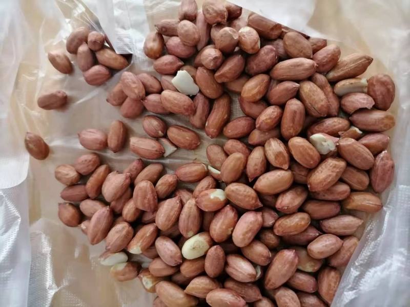 进口花生米，有需要的联系我量大从优