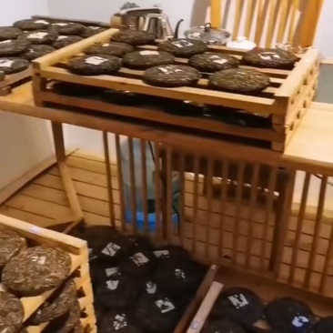 普洱生茶
