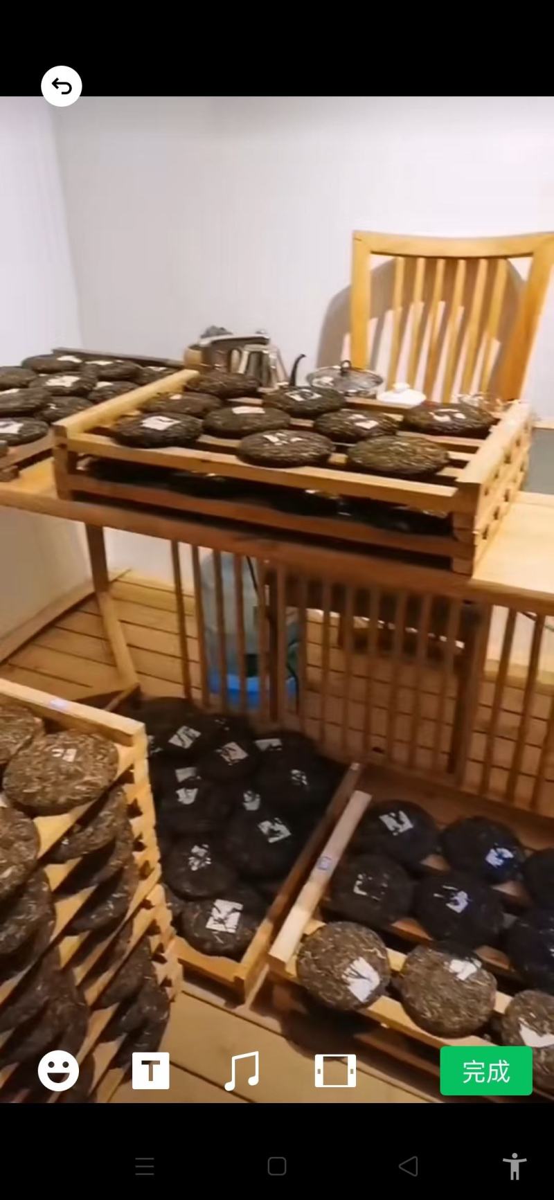 普洱生茶