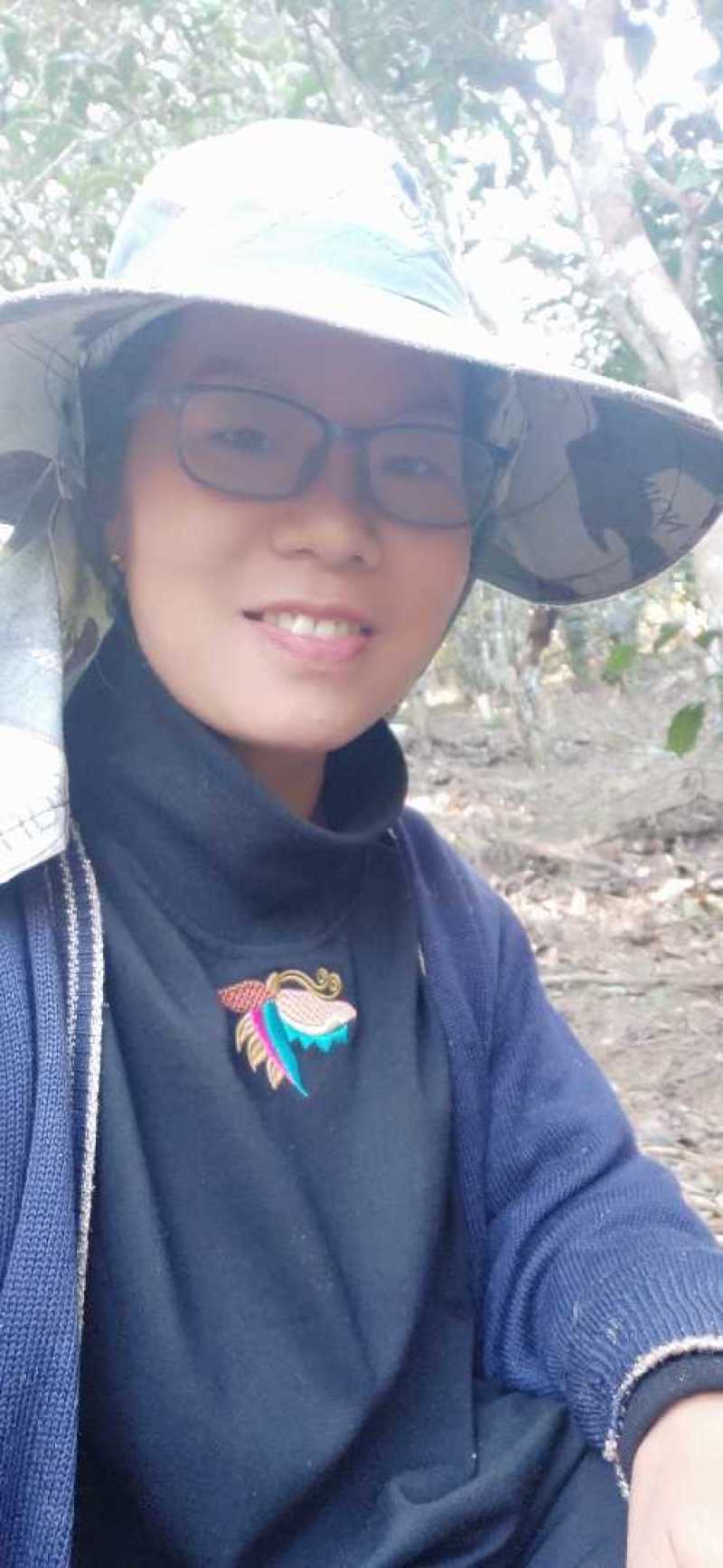 普洱生茶
