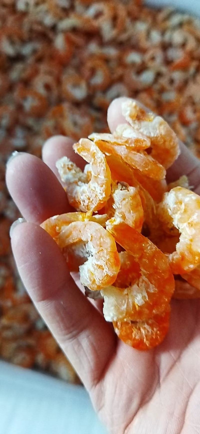 大量批发烤虾，虾仁。。