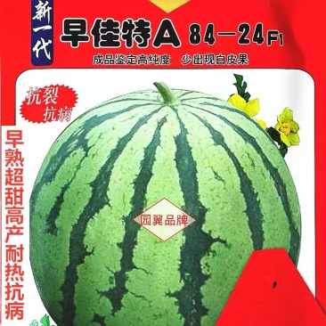 早佳8424麒麟西瓜种子无籽南方四季特大巨型西瓜种籽