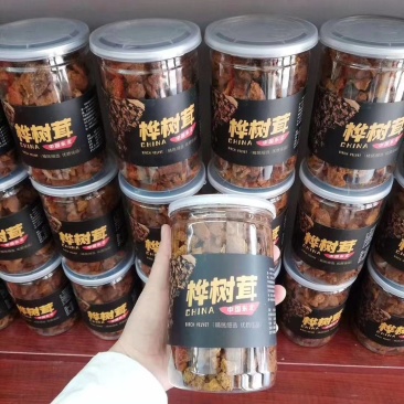 野生桦树茸煮水喝泡水喝无论是出门在家用法简单便捷