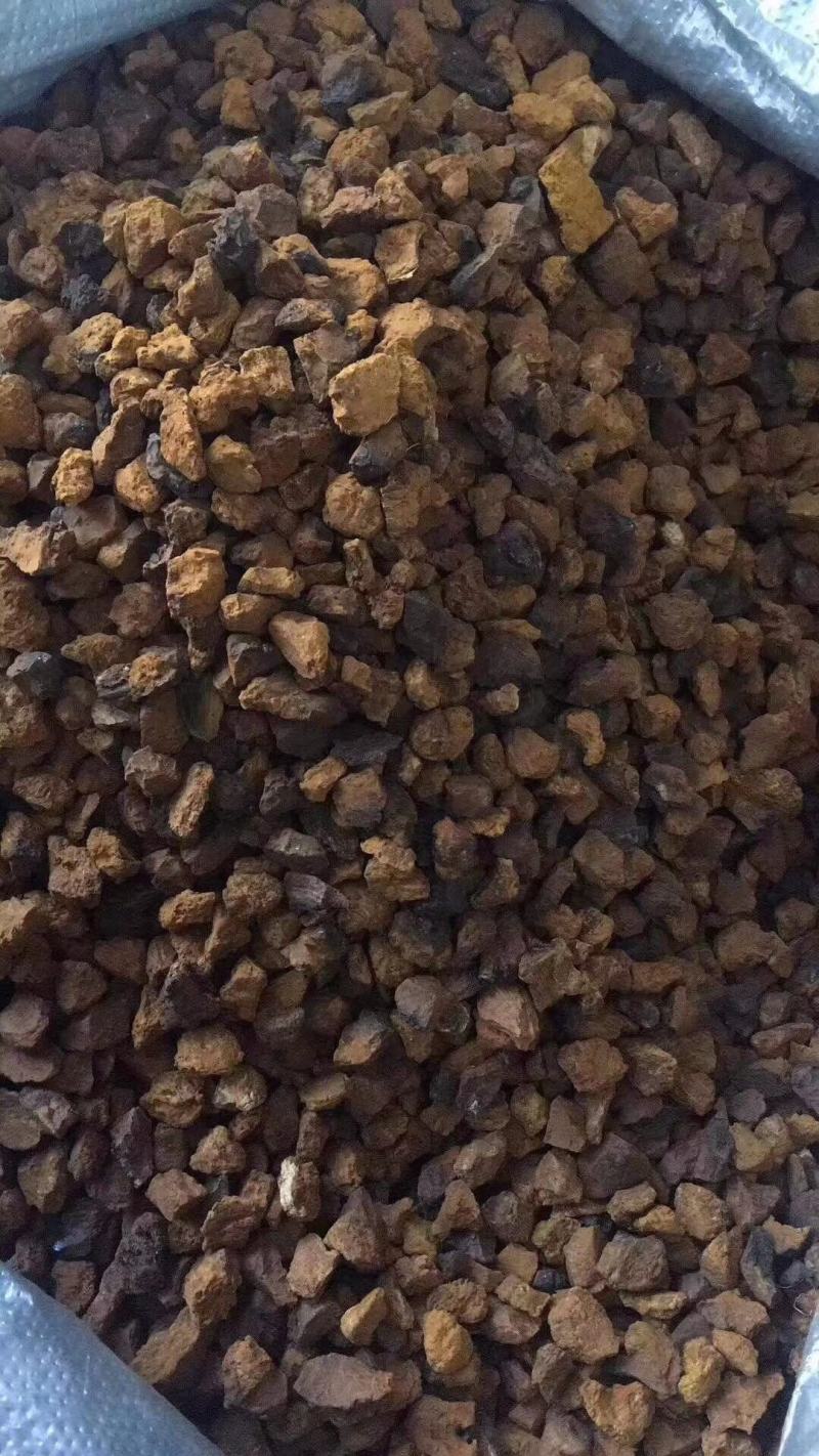 野生桦树茸煮水喝泡水喝无论是出门在家用法简单便捷