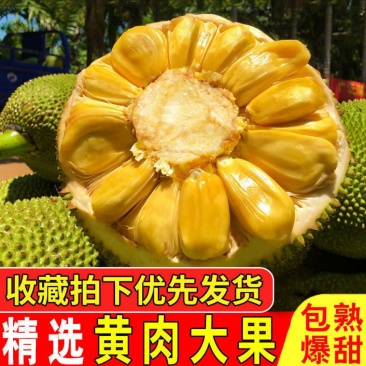 越南进口菠萝蜜出肉率高一件代发多种规格