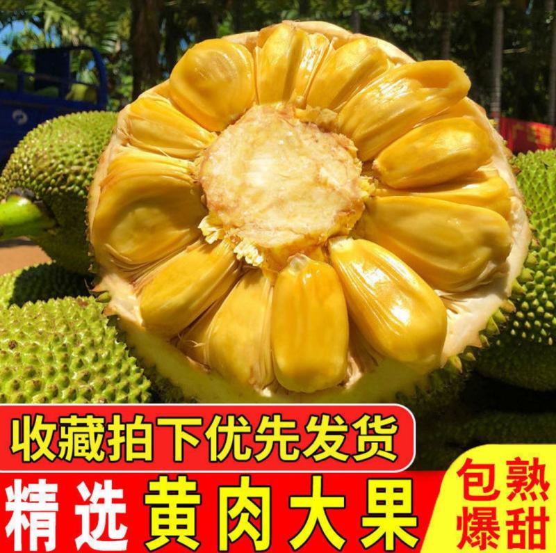 越南进口菠萝蜜出肉率高一件代发多种规格