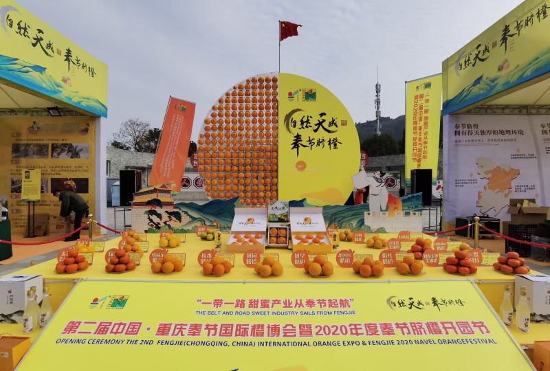 奉节脐橙福本电商支持一件代发孕妇水果