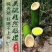 酒水饮品竹筒酒厂家批发52度一件六瓶配三个手提袋