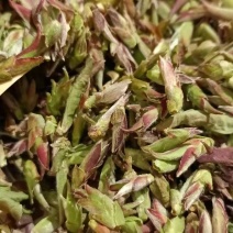 2020年野生生茶芽苞清香知味甘甜自然1000克一袋