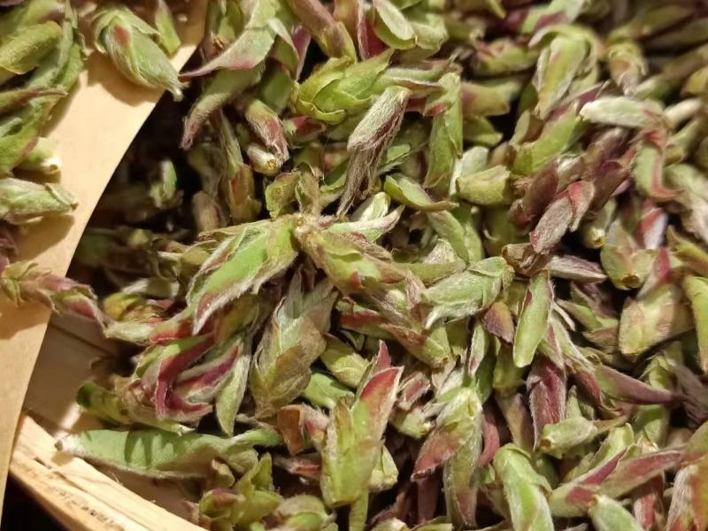 2020年野生生茶芽苞清香知味甘甜自然1000克一袋