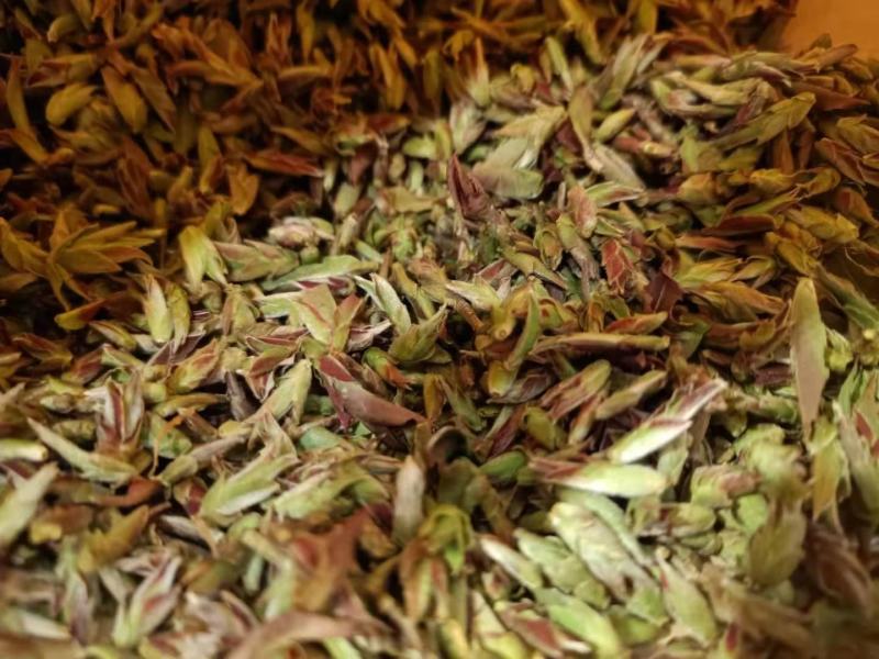 2020年野生生茶芽苞清香知味甘甜自然1000克一袋