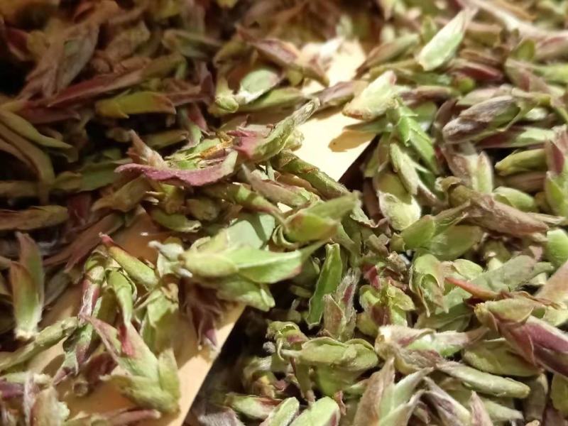 2020年野生生茶芽苞清香知味甘甜自然1000克一袋