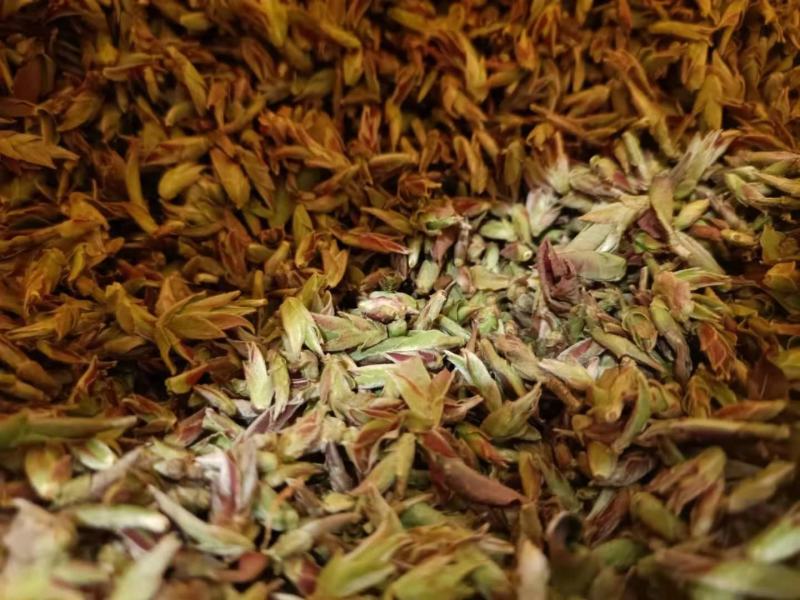 2020年野生生茶芽苞清香知味甘甜自然1000克一袋