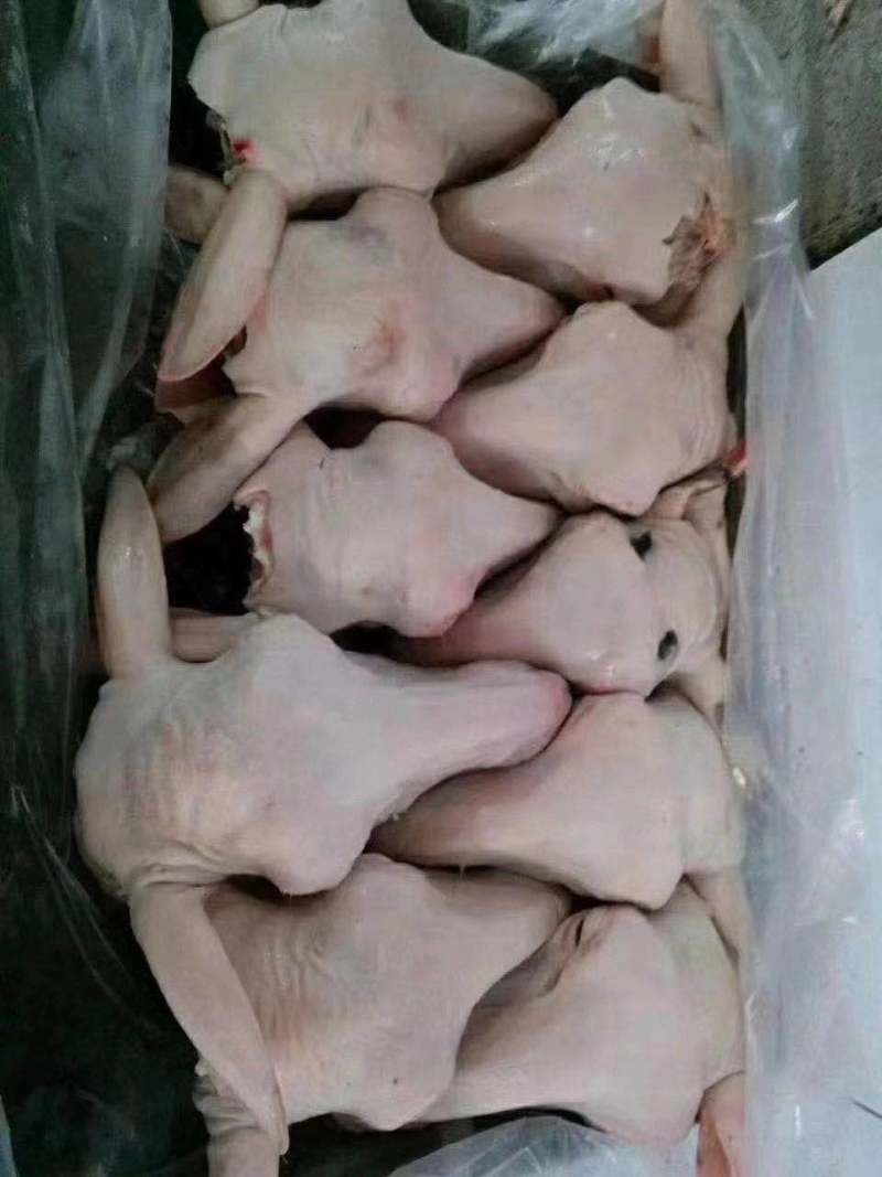 熟羊头肉，一件代发量大从优，欢迎各位老板光临！