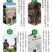 苍术种子正宗纯新带朱砂点北苍术籽包发芽四季播种