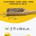 苍术种子正宗纯新带朱砂点北苍术籽包发芽四季播种