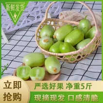 小黄瓜金童玉女山东寿光5斤一件代发