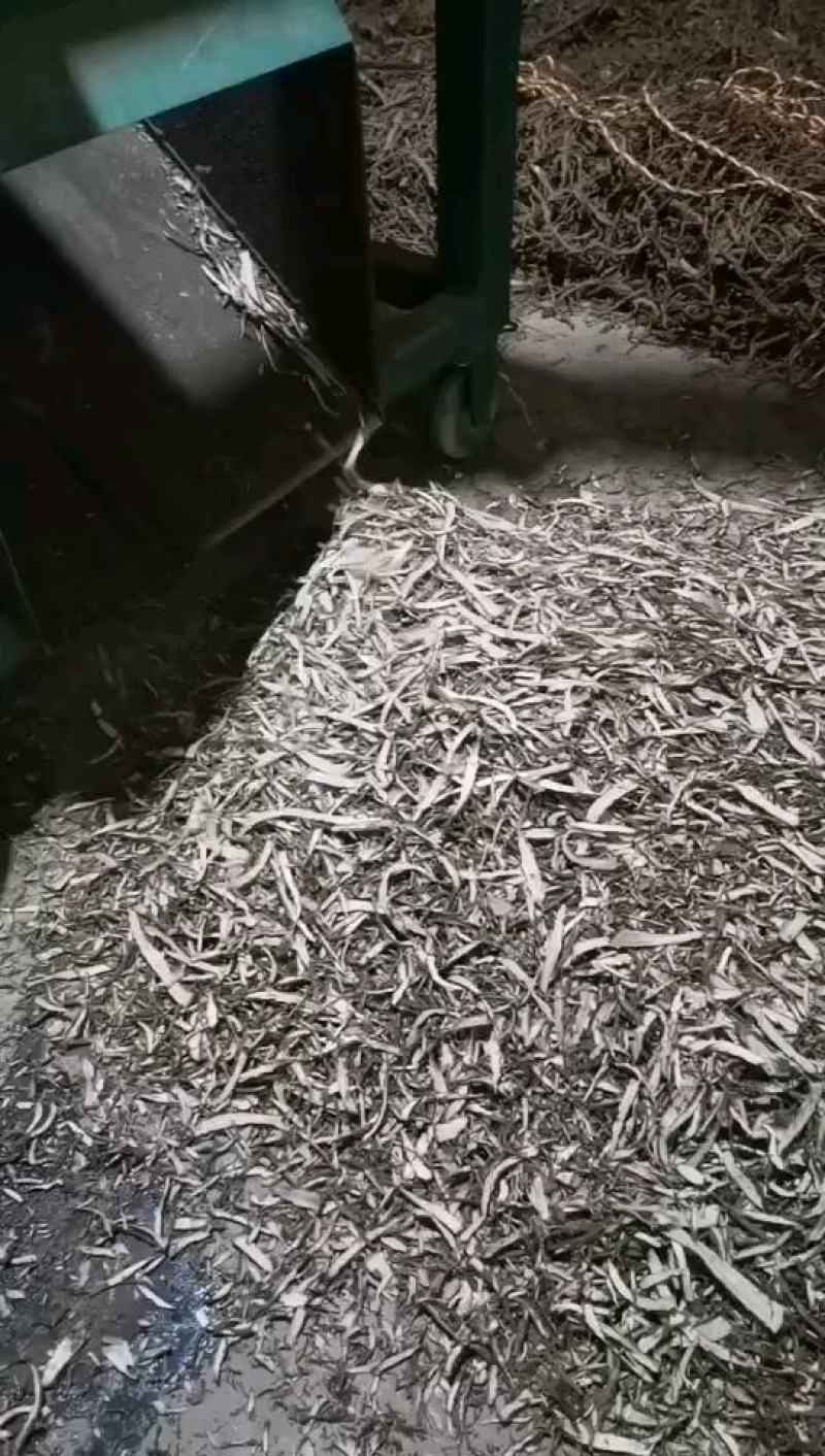 【产地直供】当归无硫水洗归尾切片中药材当归尾当归尾须