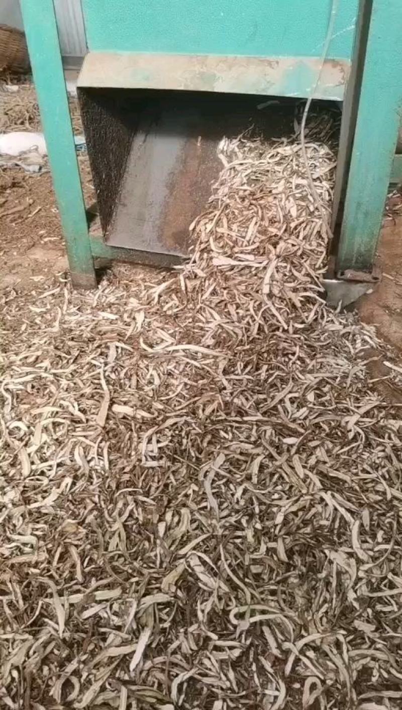 【产地直供】当归无硫水洗归尾切片中药材当归尾当归尾须