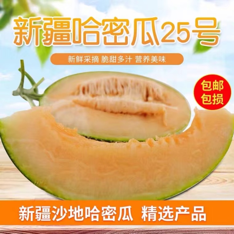 西州蜜25号甜瓜山东寿光肉厚多汁一件代发