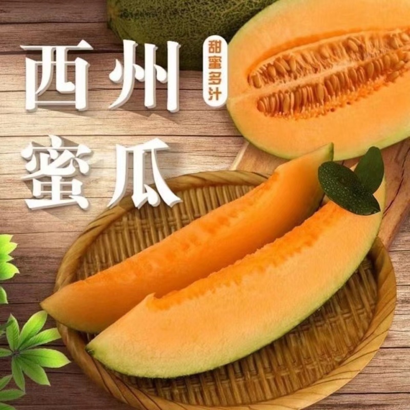 西州蜜25号甜瓜山东寿光肉厚多汁一件代发