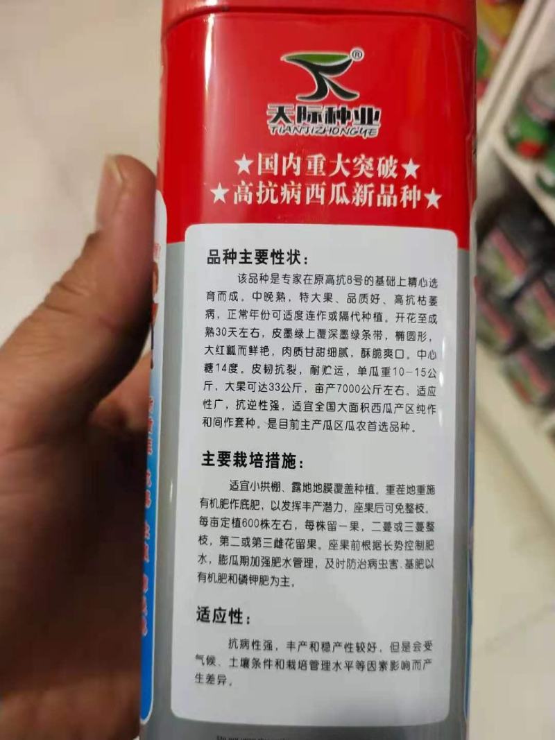高抗8号中晚熟，大果，抗裂，产7000公斤