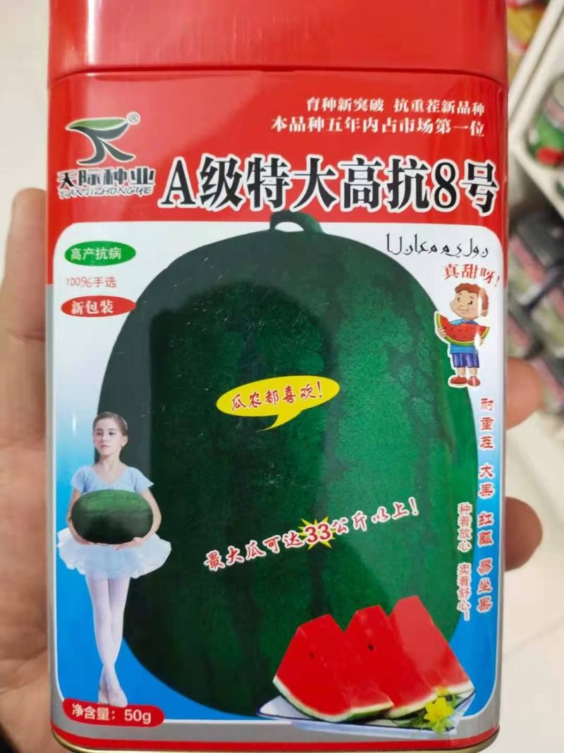 高抗8号中晚熟，大果，抗裂，产7000公斤