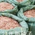云南香椿冬季上市，现货上市早口感独特。基地直供