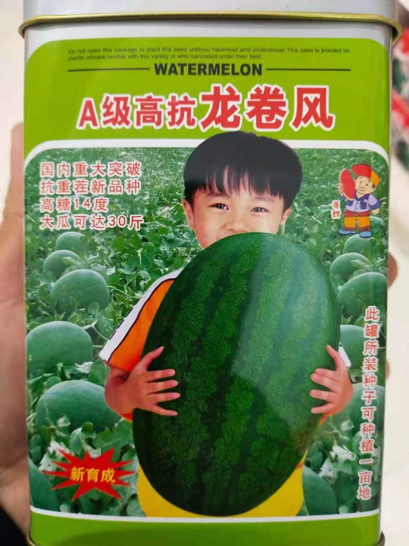 高抗龙卷风，抗重茬新品种高糖14度大瓜，详细介绍请看包装