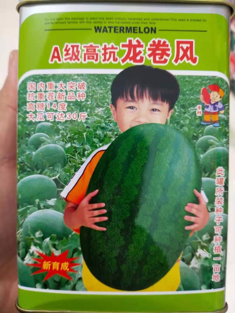 高抗龙卷风，抗重茬新品种高糖14度大瓜，详细介绍请看包装