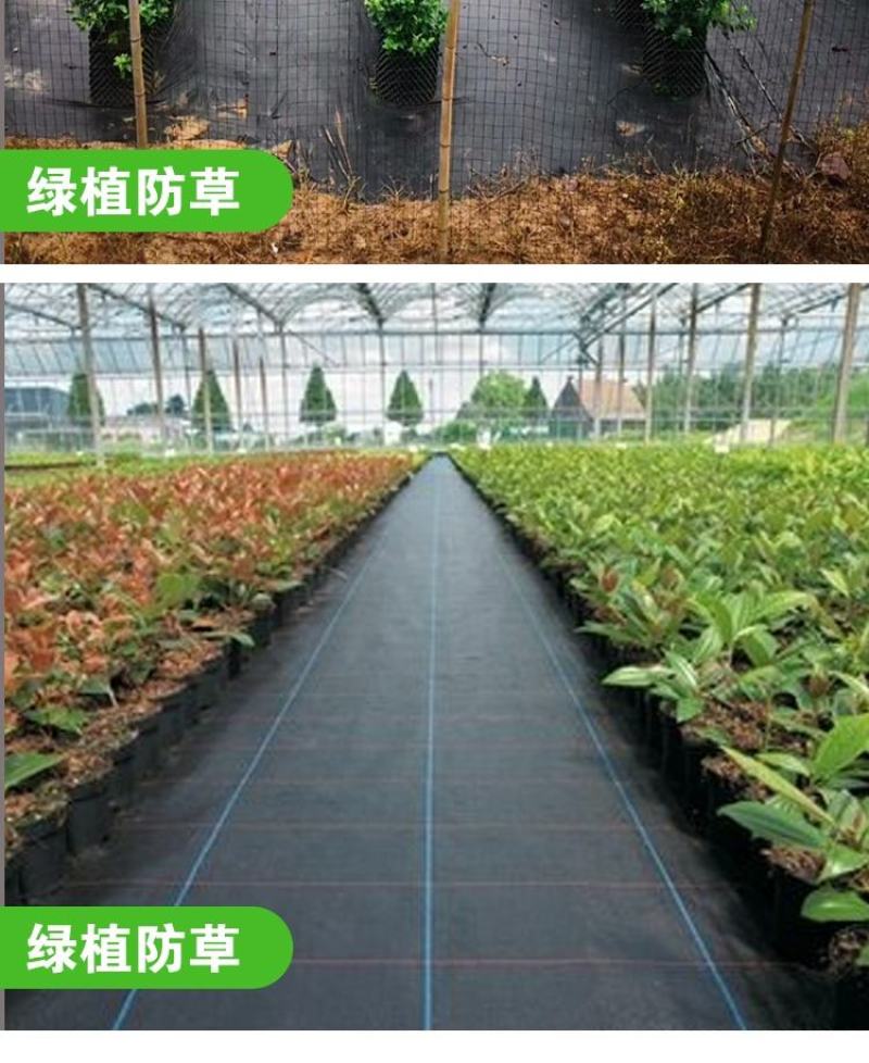 整卷防草布除草布抗老化遮草盖草布农用园艺地布耐用透气