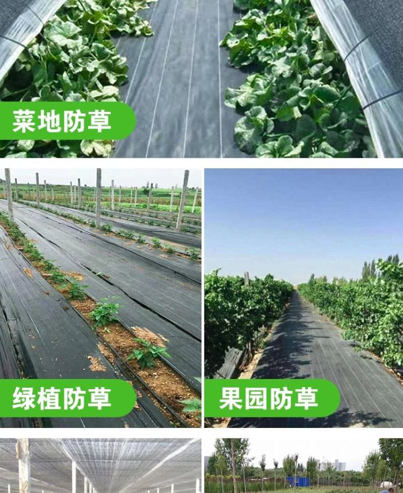 整卷防草布除草布抗老化遮草盖草布农用园艺地布耐用透气