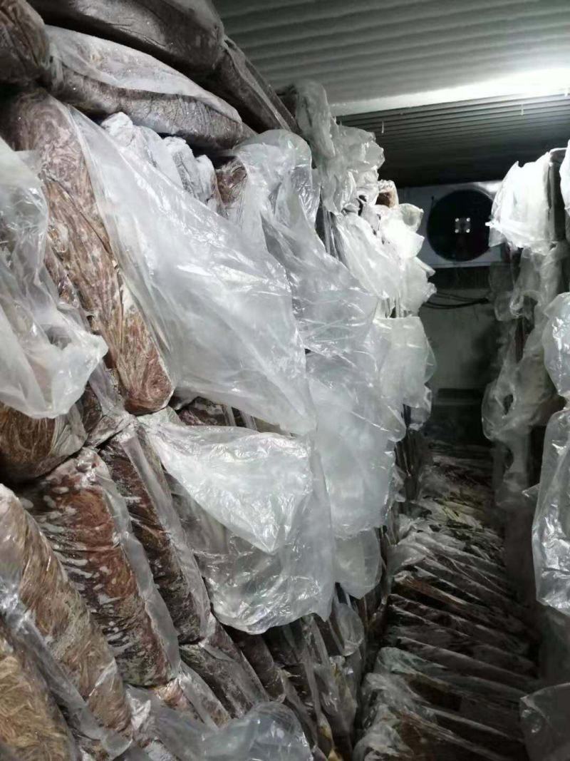冰冻红蚯蚓本公司有大平2号冰冻红蚯蚓，冰冻红蚯蚓800吨