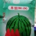 （精品）西瓜苗8424直生苗嫁接西瓜苗抗病甜度好