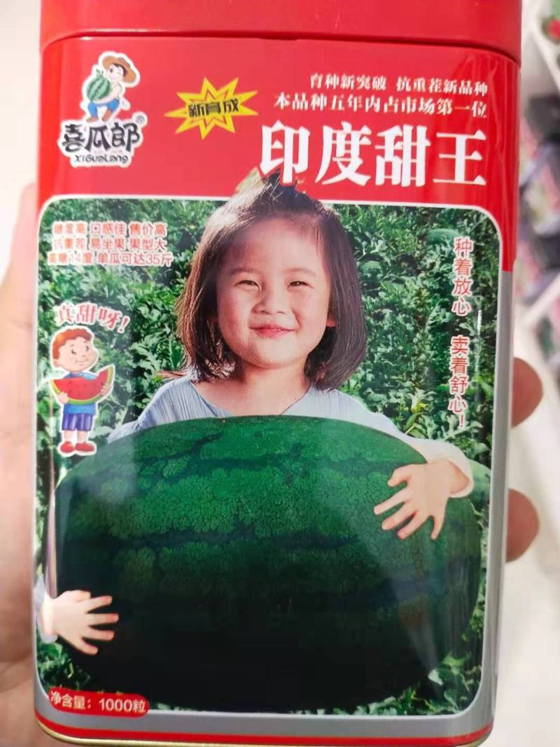 印度甜，早中熟抗枯萎病高糖大果，详细介绍请看包装说明谢谢