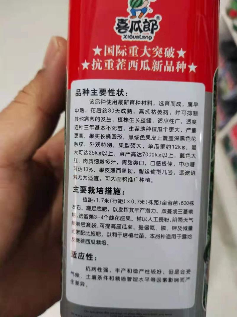 印度甜，早中熟抗枯萎病高糖大果，详细介绍请看包装说明谢谢
