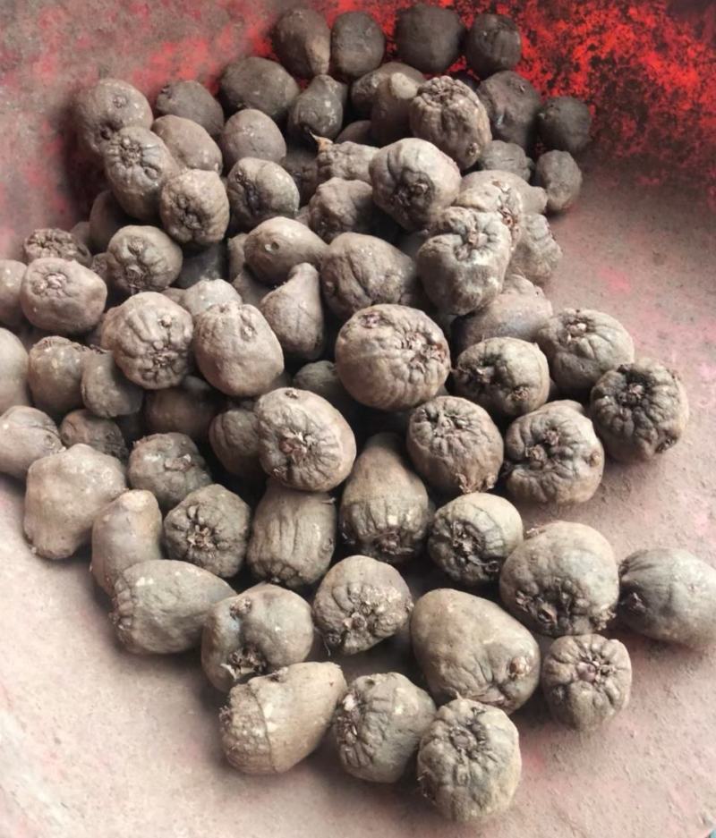 花魔芋优质魔芋一代，脱水消毒处理。可视频看货